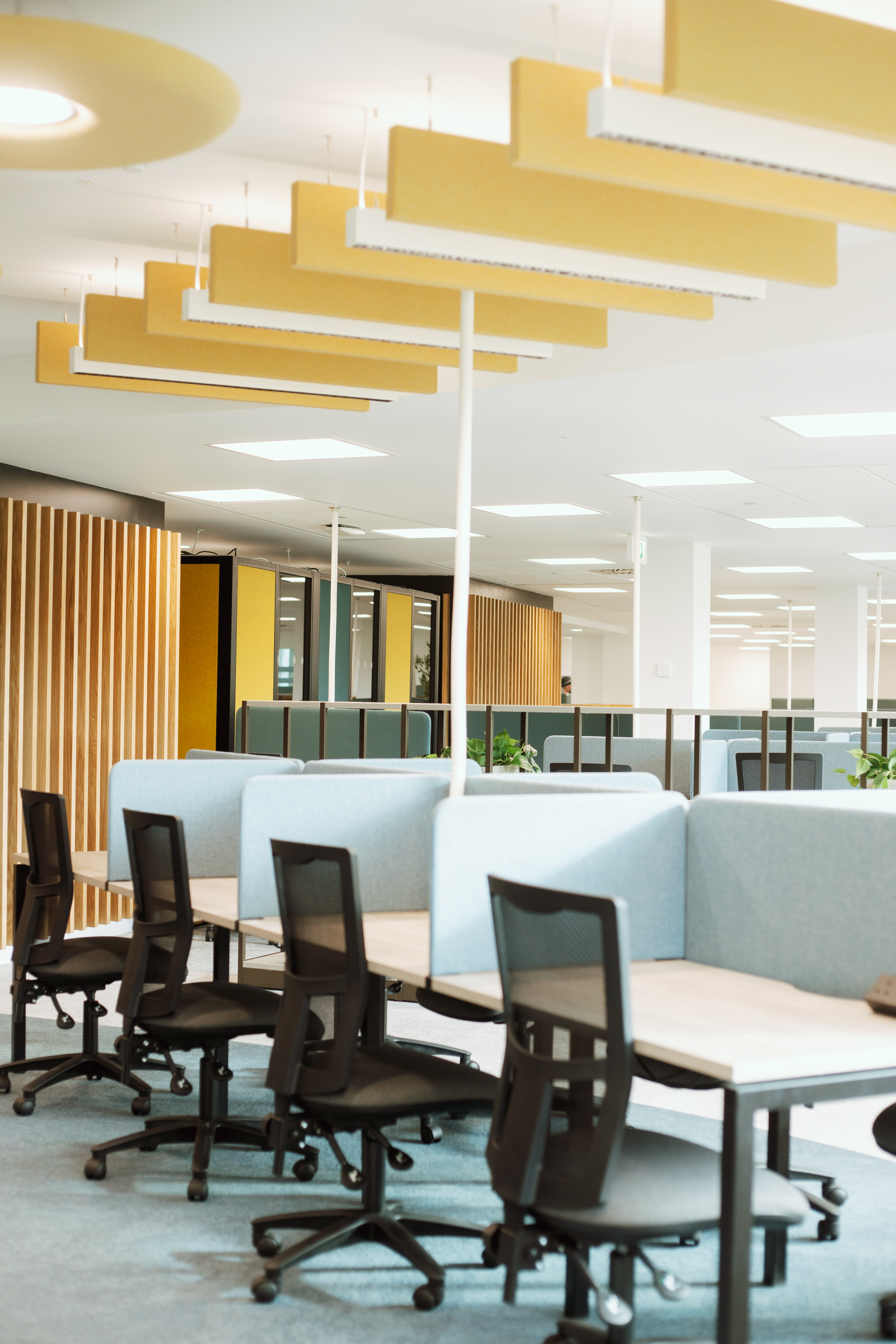 Study desks in the foreground with study pods with yellow walls in the background.