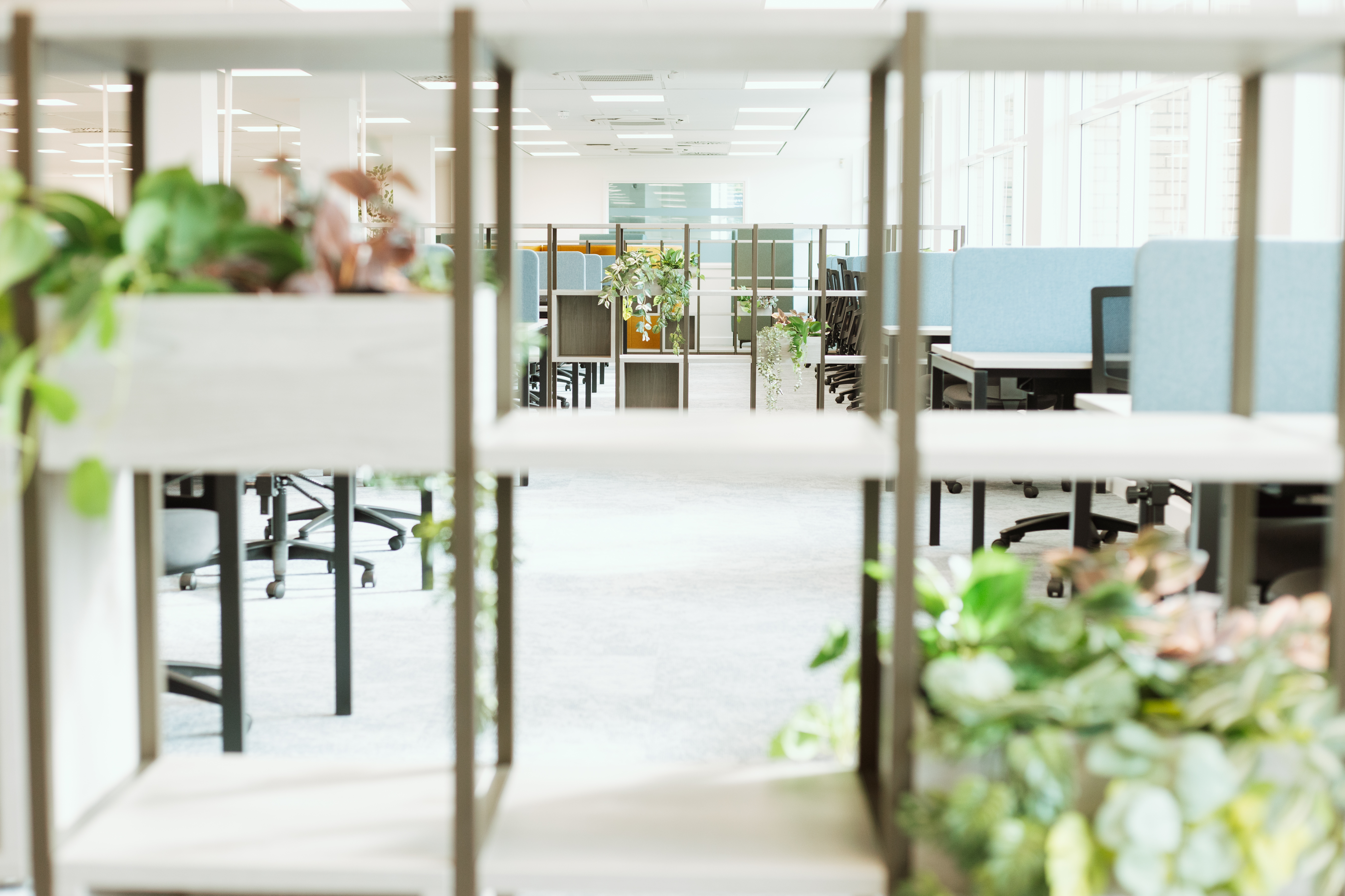 View through decorative shelving of study spaces.