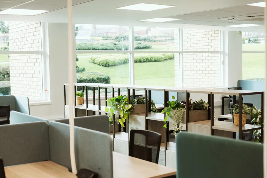 Study desks in the foreground with decorative shelving and fake plants in the background. View from windows in the background overlook University Park.
