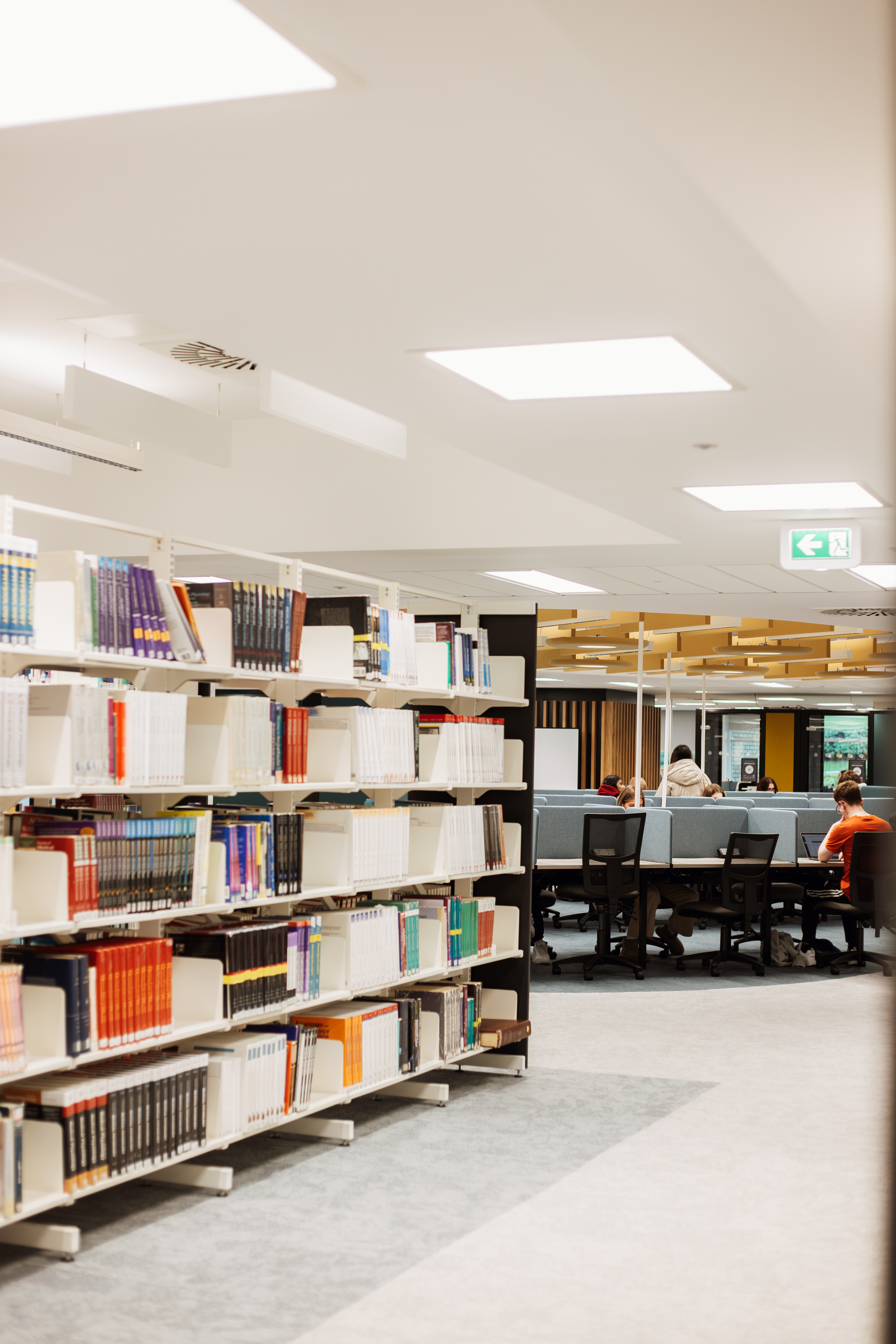 Shelves of books on the left and students studying on the right.